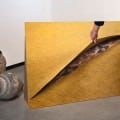 A. Exposes the Painted Floor Under the Carpet, 2016