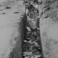 Returning to the Demolished Kibbutz, Detail from Archive Photograph, 1949, 2016