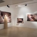 Installation view of “Looters”