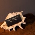 Spoils of War <br>installation view