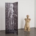 The Transparent Woman and Torso